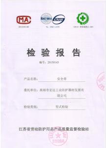 電工安全帶檢驗(yàn)報(bào)告